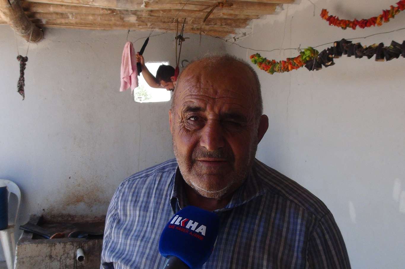 Üzümün pekmez ve pestil olma yolculuğu başladı